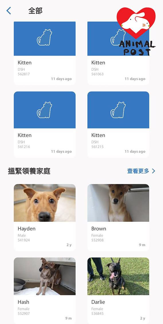 用戶可以在程式中看到待尋家動物的資料和相片。