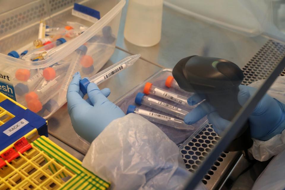 Technicians scan test tubes containing live samples of Covid-19 at Queen Elizabeth University Hospital, Glasgow (PA Archive)