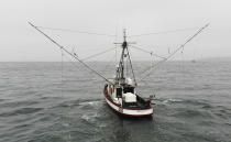 In this photo taken July 17, 2019, Sarah Bates fishes for chinook salmon on her boat Bounty off the coast of Bolinas, Calif. California fishermen are reporting one of the best salmon fishing seasons in more than a decade, thanks to heavy rain and snow that ended the state's historic drought. It's a sharp reversal for chinook salmon, also known as king salmon, an iconic fish that helps sustain many Pacific Coast fishing communities. (AP Photo/Terry Chea)