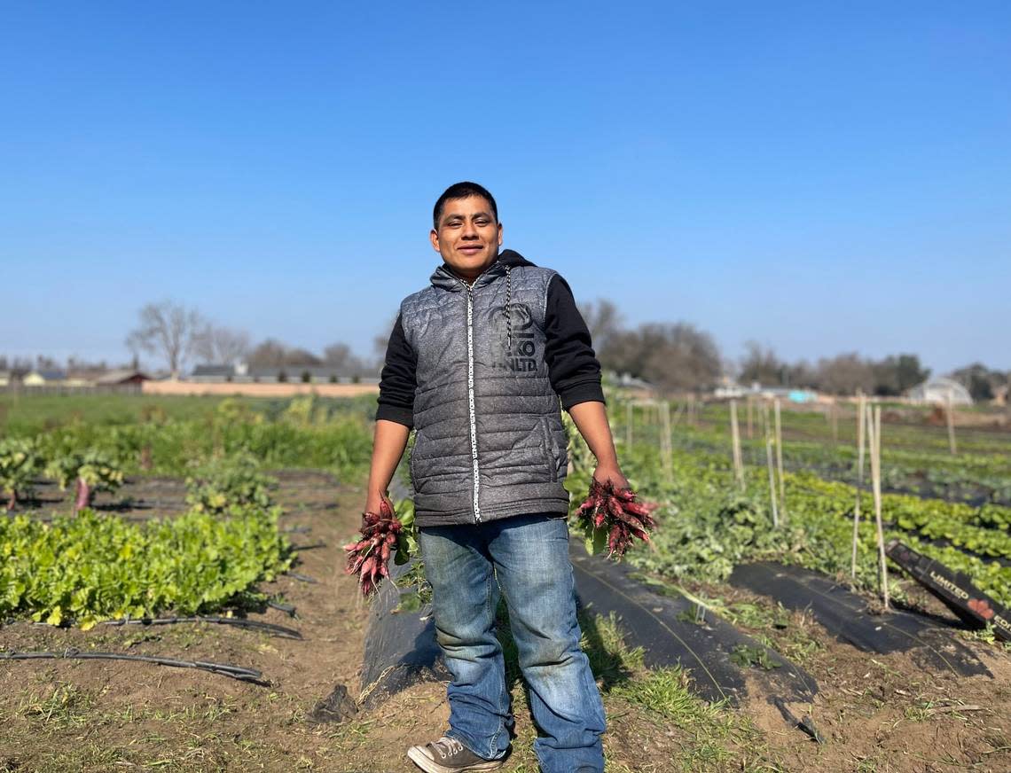 Miguel Avendaño blends new, organic growing techniques with the ones learned through his culture. Saraí Ramos Gonzalez included Avendaño and other Indigenous Mexican community members in her “¡Oaxaca, Presente!” exhibit at Arte Américas.