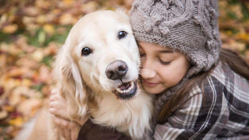 are puppies affectionate