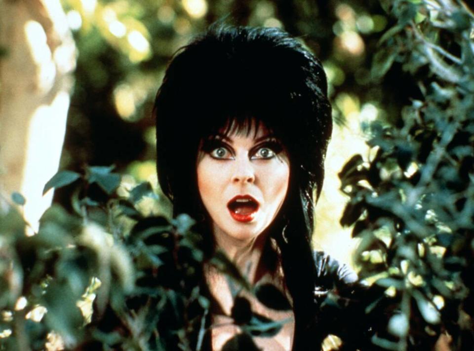 Elvira, Mistress Of The Dark, 1988, Cassandra Peterson