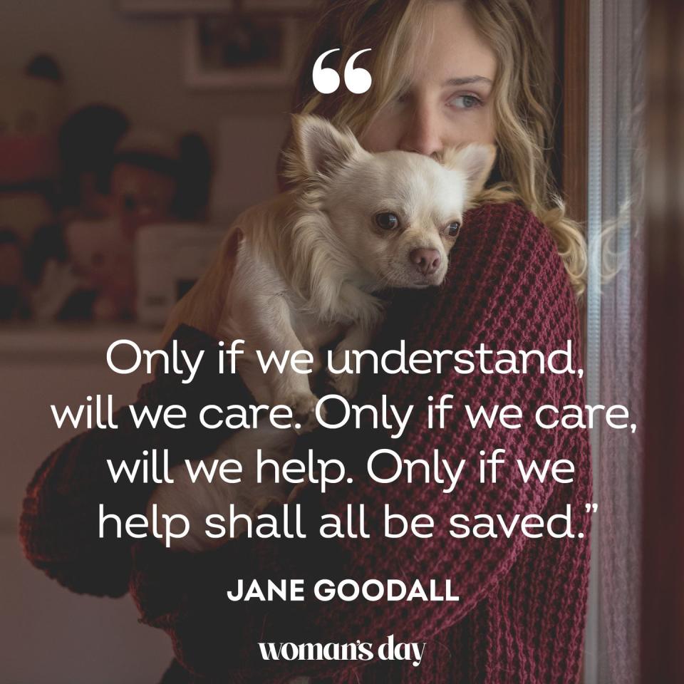 spiritual quotes jane goodall