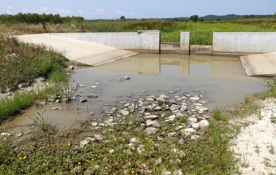 The waterway where a northern snakehead, an invasive fish, was found May 19 sits vacant Thursday, June 18, 2023, at Duck Creek Conservation Area in southest Missouri. (Christine Tannous/St. Louis Post-Dispatch via AP)