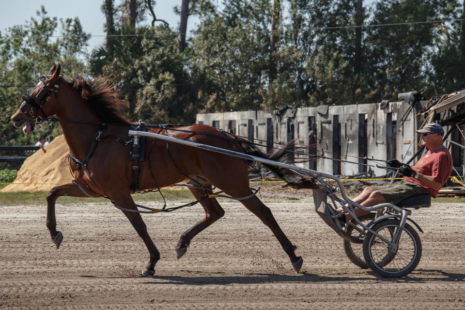 Horses resumed training Palm Beach Trotting Center on Thursday, March 17, 2016 in unincorporated Palm Beach County.