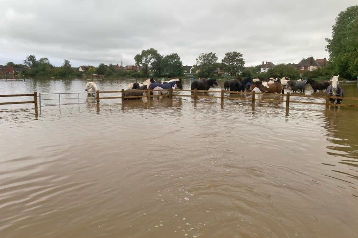 Flooding at St Leonard’s Riding School and Livery Stable in Toton, Nottinghamshire after Storm Babet hit (Sally Carnelley/PA) (PA Media)