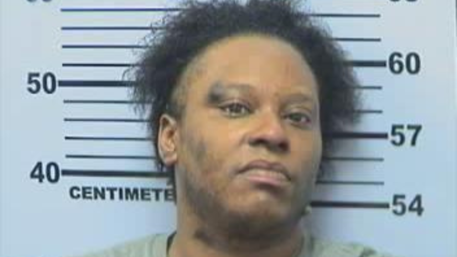 33-year-old Lacynthia Marie Rosetter Robinson, who is charged with third-degree promoting prostitution and possession of drug paraphernalia.