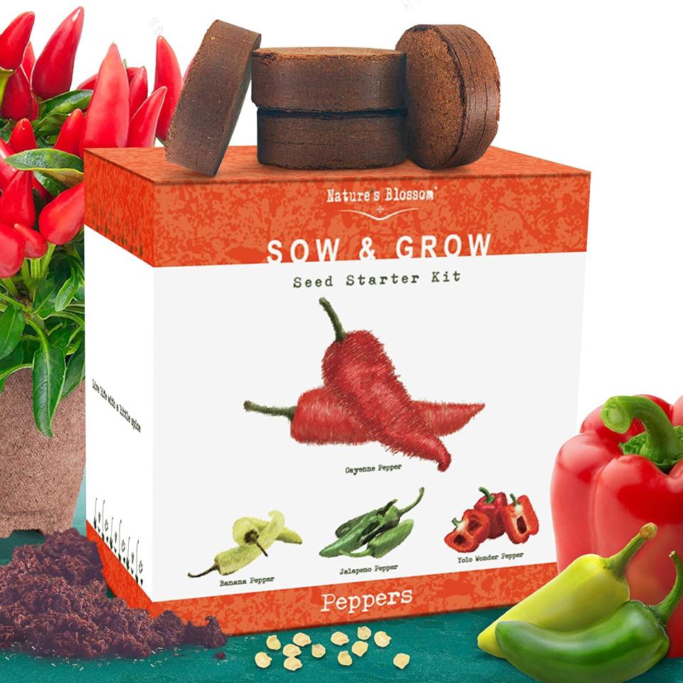 Nature’s Blossom Sow & Grow Pepper Kit  