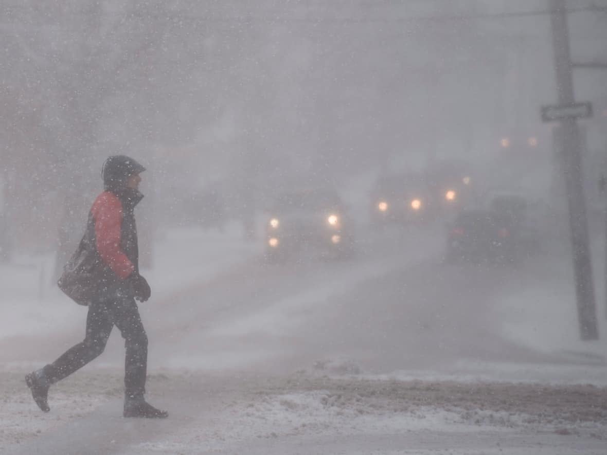 Rain will change to ice pellets and freezing rain before eventually becoming snow.  (Darren Calabrese/Canadian Press - image credit)