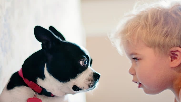 Study Finds That Children Spontaneously Help Puppies, Other Animals