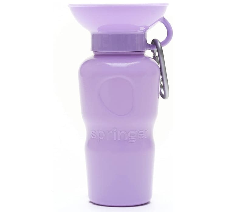 Springer Dog Water Bottle