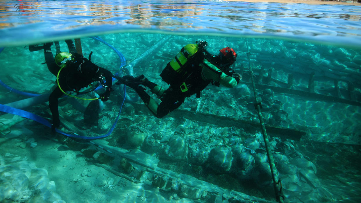  Scuba divers swim in shallow water to observe the shipwreck. 