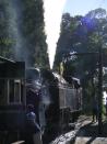 This cute little engine needs a lot of water in its belly. At Hillgrove, the steam loco gets a water fill while passengers also stop for refreshments.