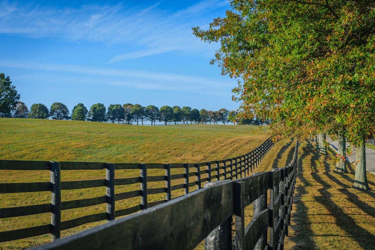 <p>With a total of 1,999,202 housing units, the Bluegrass State saw 301 homes go into foreclosure, thus landing in 29th place in March. This puts the foreclosure rate for the 29th most populous state at one in every 6,642 households. The counties with the most foreclosures per housing unit were (from highest to lowest): Powell, Greenup, Clinton, Bath, and Jefferson.</p><p><br></p><p><br></p><span class="copyright"> Thomas Kelley </span>