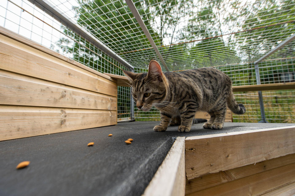 Neighbours have demanded that the cage is torn down (Picture: SWNS)