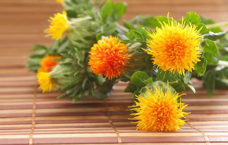 17) Safflower Oil