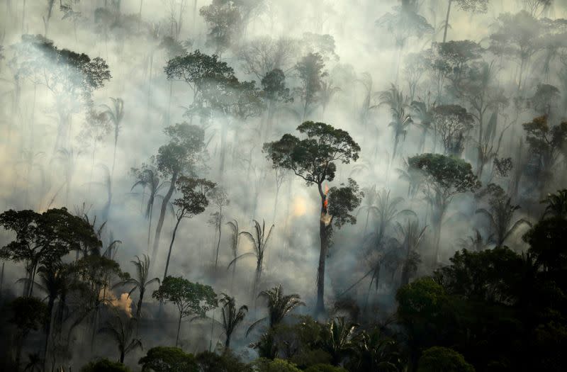 FILE PHOTO: Smoke billows during a fire in an area of the Amazon rainforest near Porto Velho