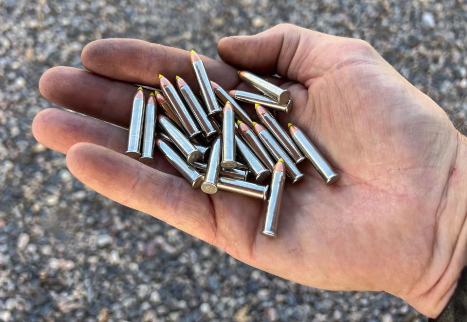 CCI VNT 30-grain .22 WMR ammo