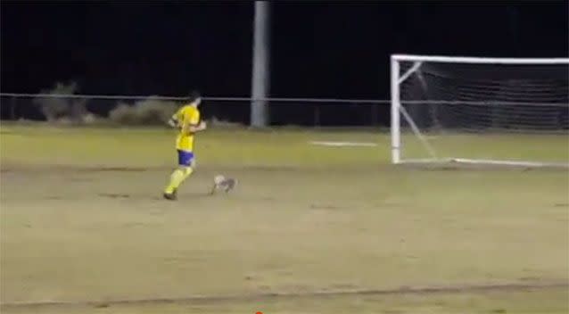 A soccer player escorted the 'extra player' off the field at Noosa. Pictures: Maneena Roberts