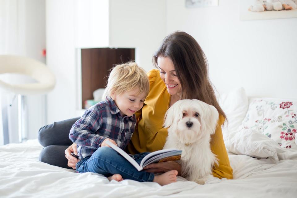 Talking about different attributes of children’s environments and the objects around them helps children make connections. (Shutterstock)