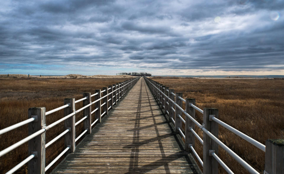 A boardwalk in Silver Sands State Park.