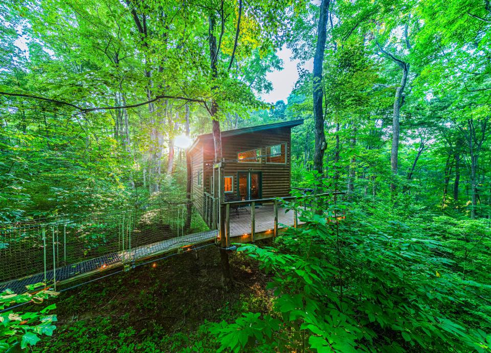 The Library Treehouse near Hocking Hills State Park sleeps up to four people and is pet-friendly.
