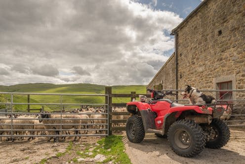 <span class="caption">Quad bikes and GPS systems are being stolen from farms.</span> <span class="attribution"><span class="source">Michael Garner/Shutterstock</span></span>