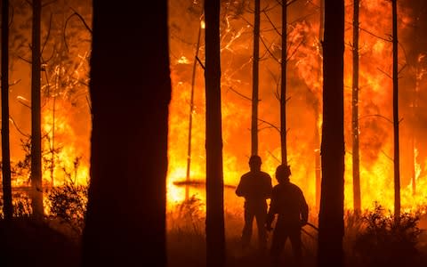 Firefighters battle a blaze in Vieira de Leiria (Portugal) as wildfire spreads through the forest - Credit: Ricardo Graca/Lusa