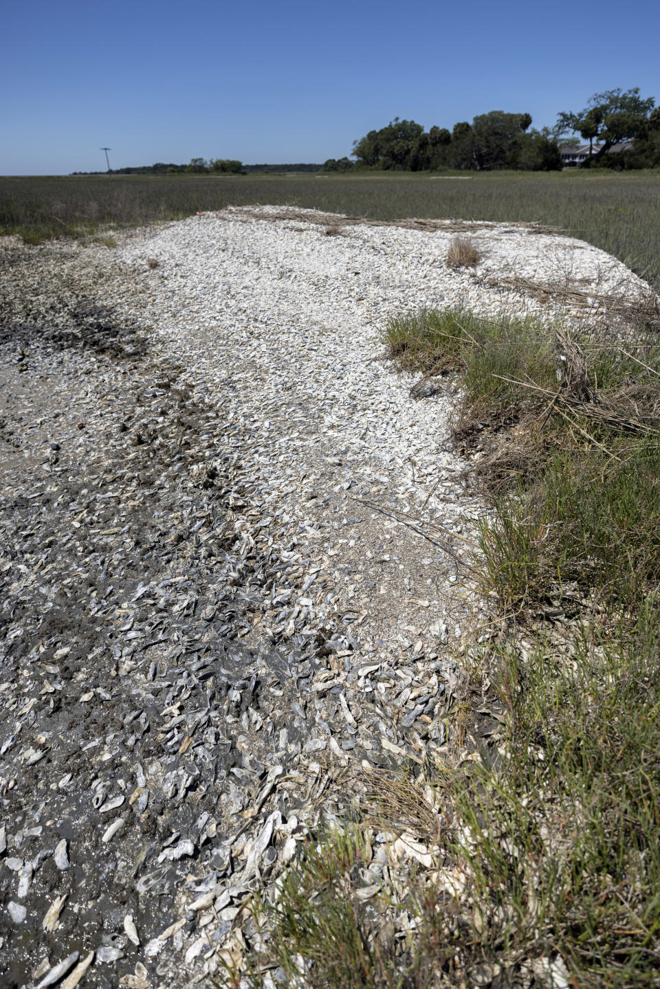 Natural occurring oyster reefs and salt marshes surrounding much of the Marine Corps Recruiting Depot, Wednesday, May 11, 2022, in Parris Island, S.C. The base has been working with environmental groups to secure funding for living shoreline projects, building up oyster reefs along the coast to strengthen the salt marsh that acts as a buffer to floods and hurricanes. (AP Photo/Stephen B. Morton)