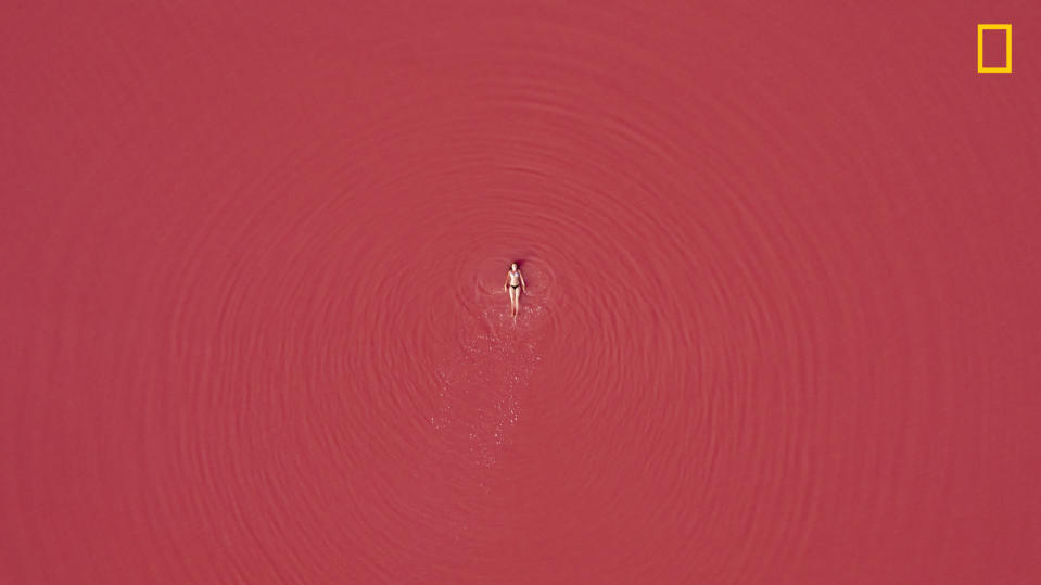 <p>“In this beautiful coastal resort you can find two beautiful salt lakes: a blue-green one called La Mata lagoon and the other, of an impressive pink colour, known as Torrevieja lagoon; both connected to the sea by canals.” (<a rel="nofollow noopener" href="http://yourshot.nationalgeographic.com/profile/1479986/" target="_blank" data-ylk="slk:Wellington Rodrigues;elm:context_link;itc:0;sec:content-canvas" class="link ">Wellington Rodrigues</a> / National Geographic Nature Photographer of the Year contest) </p>