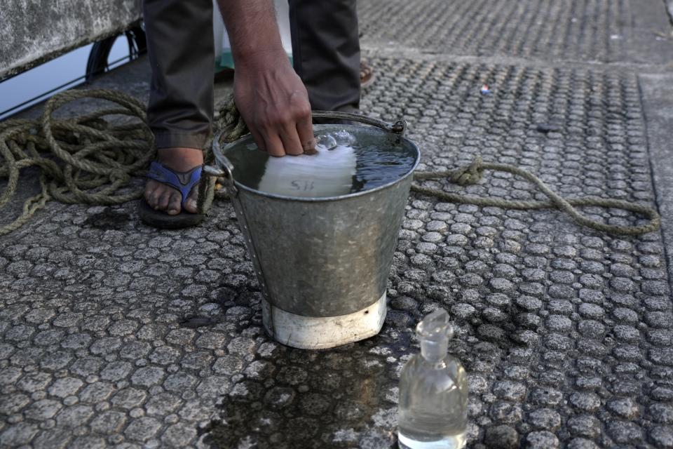 A trainee with the Kerala Pollution Control Board fills a bottle from a bucket of Periyar River water in Eloor, Kerala state, India, Friday, March 3, 2023. Trainees take daily trips to collect samples from six different points along the river. (AP Photo)