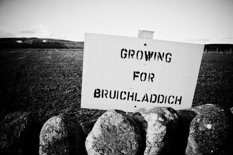 布萊迪（Bruichladdich）酒廠在艾雷島總共與19家農夫簽訂了契作。 （人頭馬君度 RÉMY COINTREAU提供）