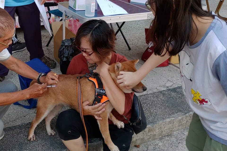 屏東縣動物防疫所舉辦犬貓狂犬病疫苗巡迴注射活動