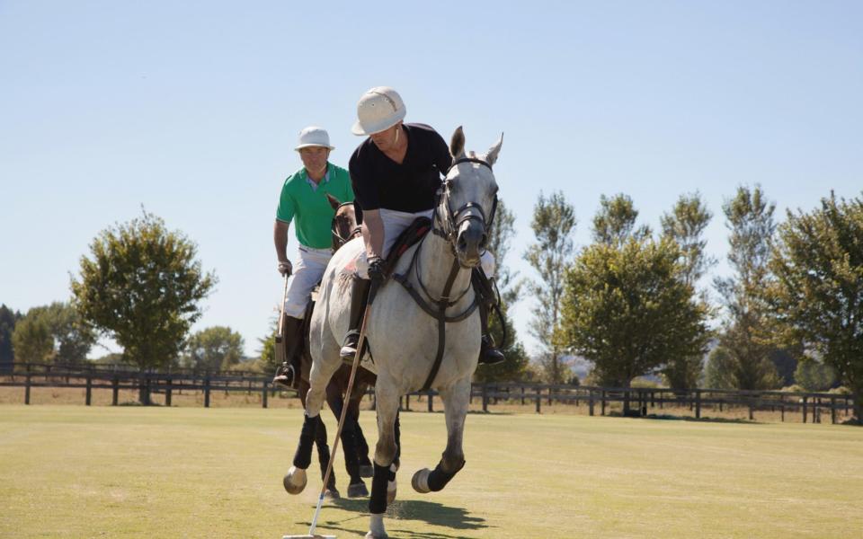 Polo has ambitions of restarting before even the football in Britain, despite not being classed an 'elite' sport - Getty Images