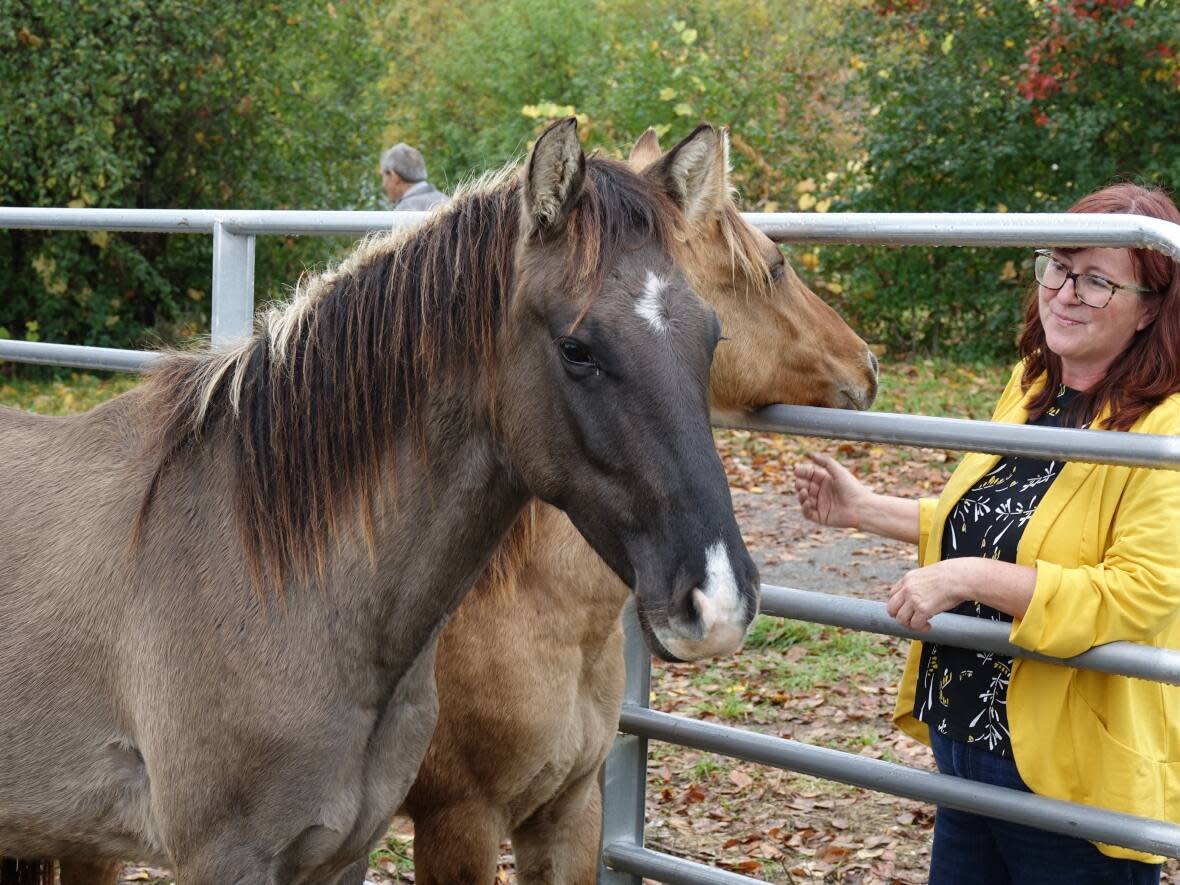 Trina Mather-Simard says while there are now only about 150 of the spirit horses in existence, they once roamed wild across what's now the Ottawa area. (Giacomo Panico/CBC - image credit)