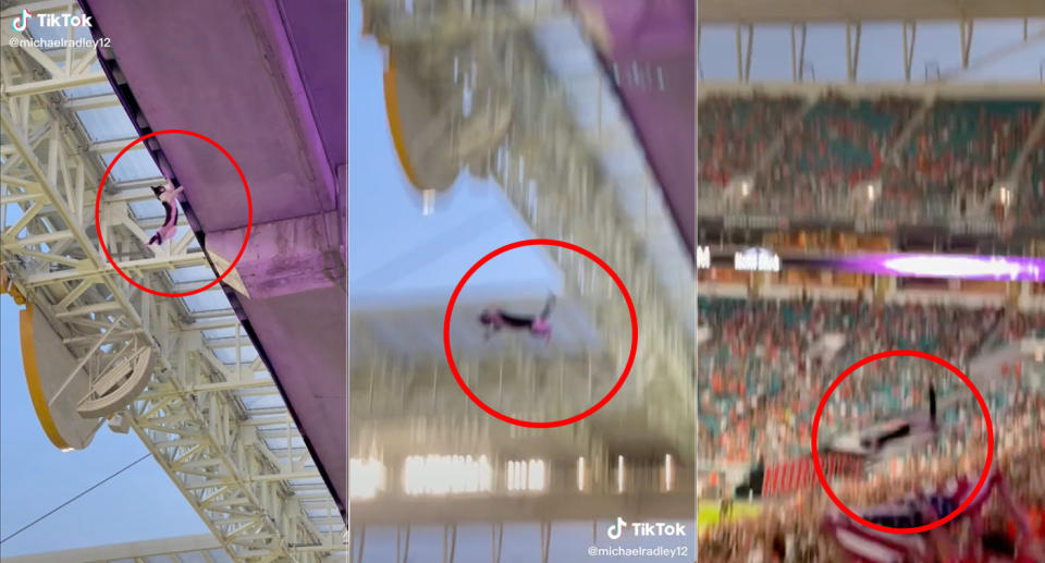 TikTok users captured the moment the cat fell but was caught by people in the crowd. Source: TikTok