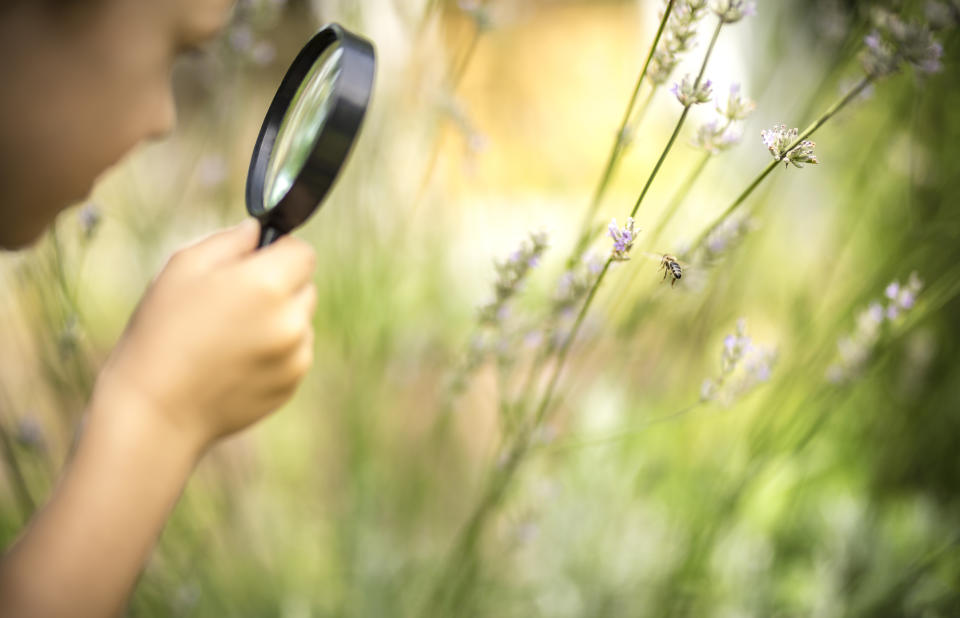 Parents say their children have enjoyed nature during lockdown. (Getty Images)