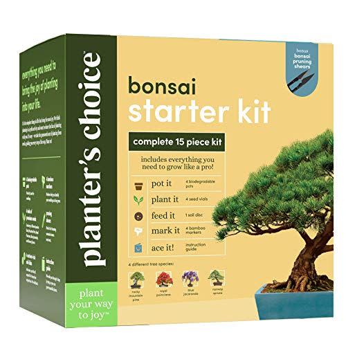 1) Bonsai Starter Kit