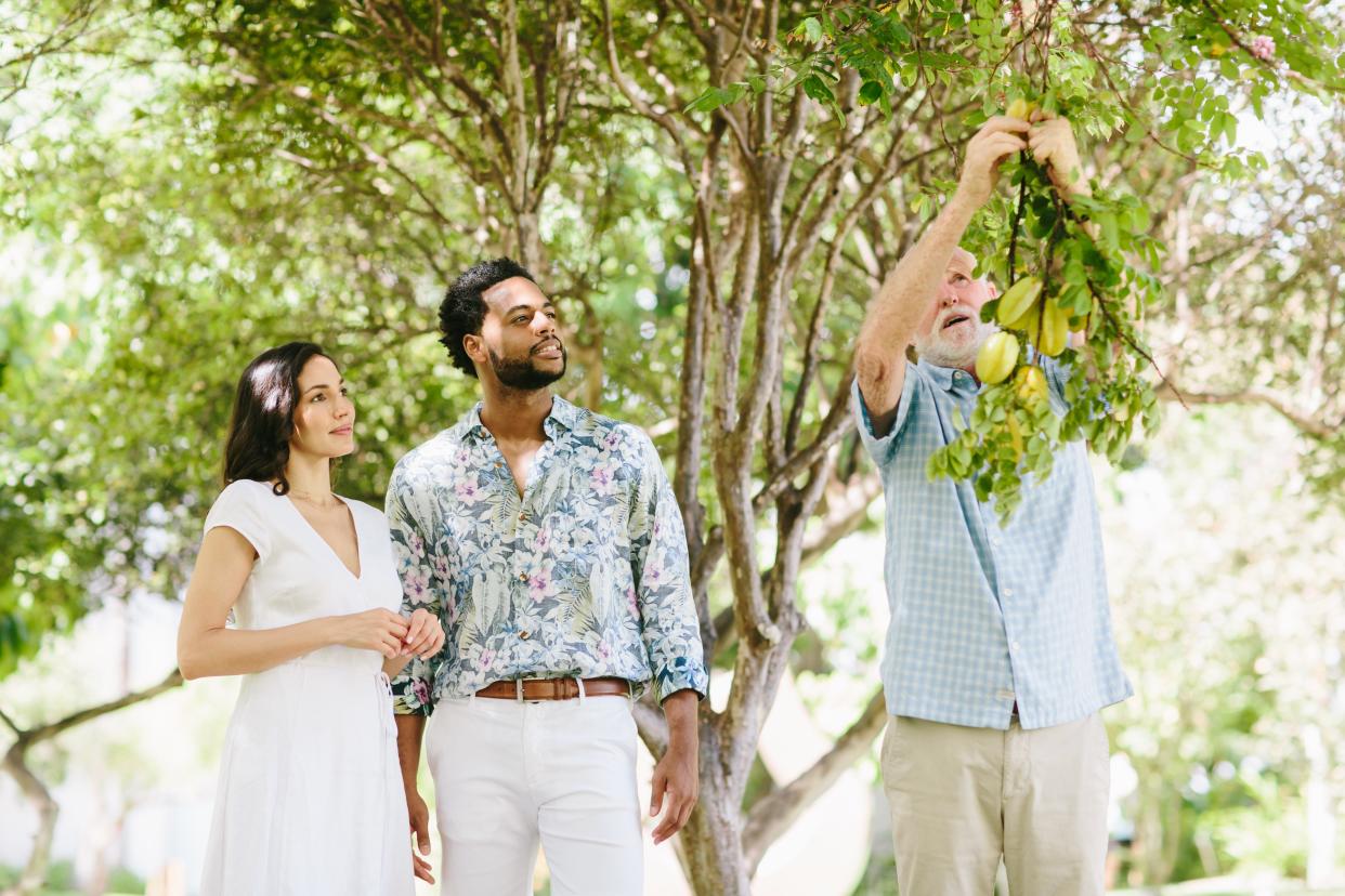 Heid will pick fruits like starfruit right off the branch and allow guests on his tour to taste it. He added that sometimes guests just walking around the property themselves will grab fruit off the trees as a snack, which he doesn't mind either.