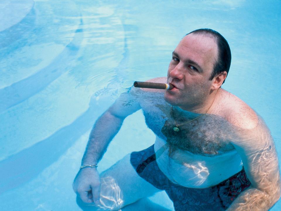 The Sopranos Tony Soprano pool