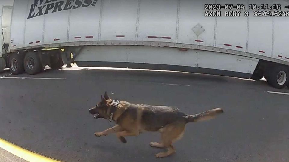 PHOTO: Police bodycam screengrab shows a few moments before Jadarrius Rose was attacked by an Ohio K-9 dog on July 4, 2023, after attempting to surrender to police with his hands up following a highway chase. (Circleville Police Department)