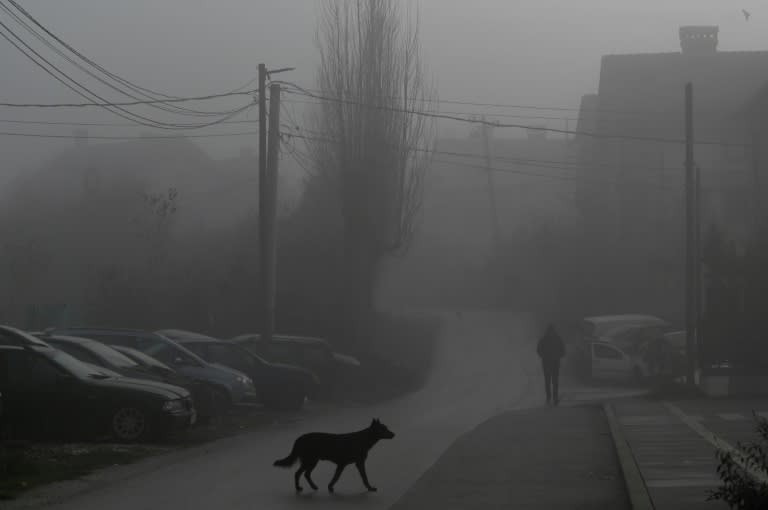 Un perro callejero camina entre la niebla en Pristina el 11 de diciembre de 2023 (Armend Nimani)