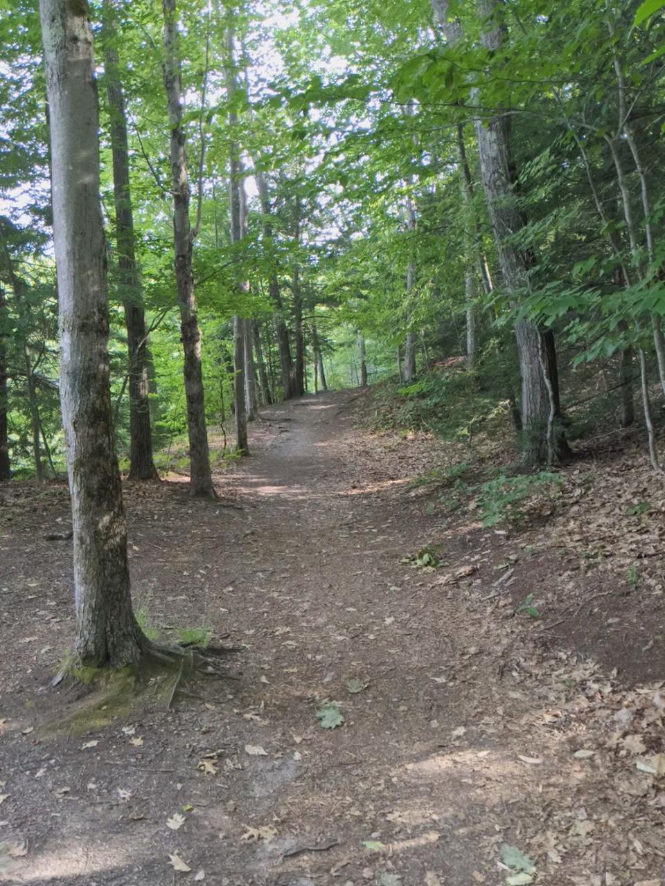 A view of a section of the Dunn Pond Loop Trail which around the perimeter of the pond at Dunn State Park in Gardner.