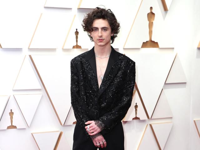 Timothée Chalamet shut down the Oscars red carpet by leaving his shirt at  home