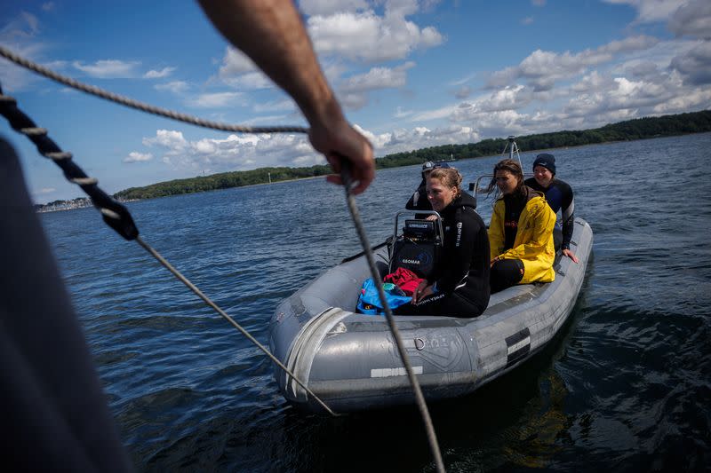 The Wider Image: In Baltic Sea, citizen divers restore seagrass to fight climate change