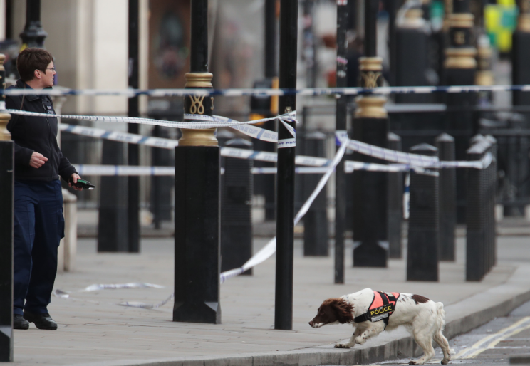 The roads around Westminster have been cordoned off following the incident (PA)