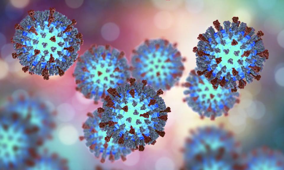 Measles viruses. 3D illustration showing structure of measles virus with surface glycoprotein spikes heamagglutinin-neuraminidase and fusion protein;