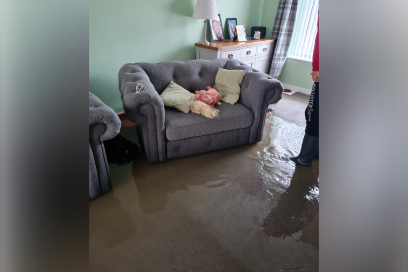 The living room in Ms Nicholson's house flooded