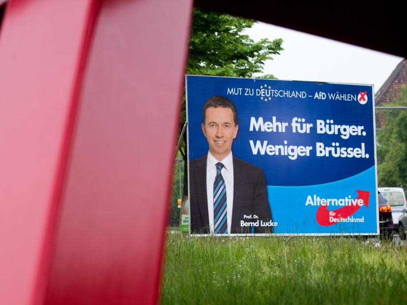 Ein AfD-Plakat für die Europawahl. Foto: Julian Stratenschulte