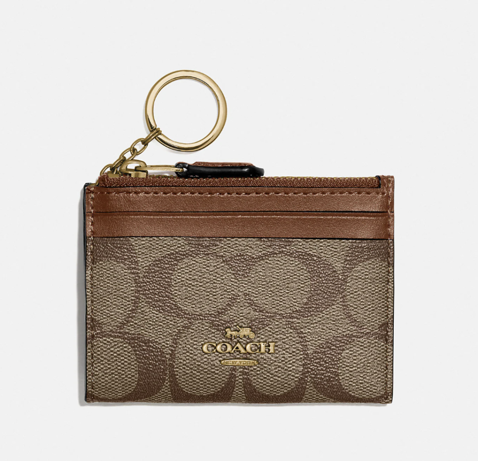 Mini Skinny ID Case in Signature Canvas (photo via Coach Outlet)